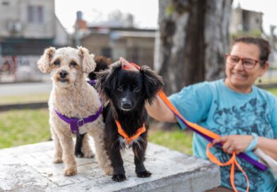 Lanús Gobierno sigue con el “Punto de castración itinerante” en Valentín Alsina