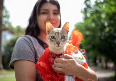 Nuevos turnos para el servicio itinerante de castración gratuita en Lanús Oeste