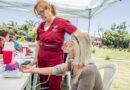 Programa “Plazas Saludables”: atención médica en espacios públicos del municipio de Lanús