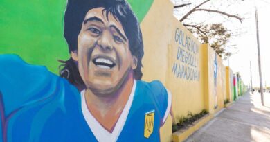 Lanús Gobierno realizó 270 nuevos murales en los diferentes barrios del distrito