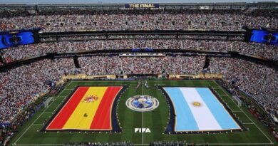 La FIFA dio marcha atrás y descartó el proyecto de privatización del Mundial