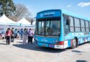 Atención médica y odontológica gratuita en la plaza Leopoldo Marechal con el Colectivo Sanitario