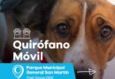 El municipio lanza nuevos turnos para castraciones en Valentín Alsina