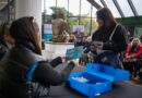 Lanús Gobierno entregó más de 200 Pases Libres Multimodales